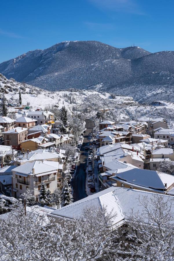 Paeonia Arachova Otel Dış mekan fotoğraf