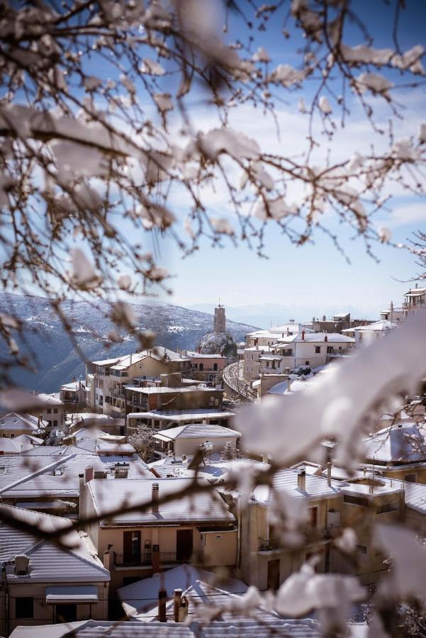 Paeonia Arachova Otel Dış mekan fotoğraf