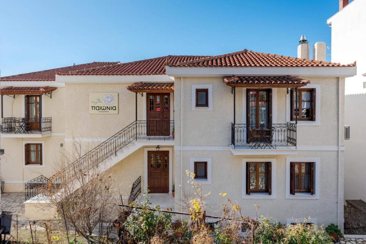 Paeonia Arachova Otel Dış mekan fotoğraf